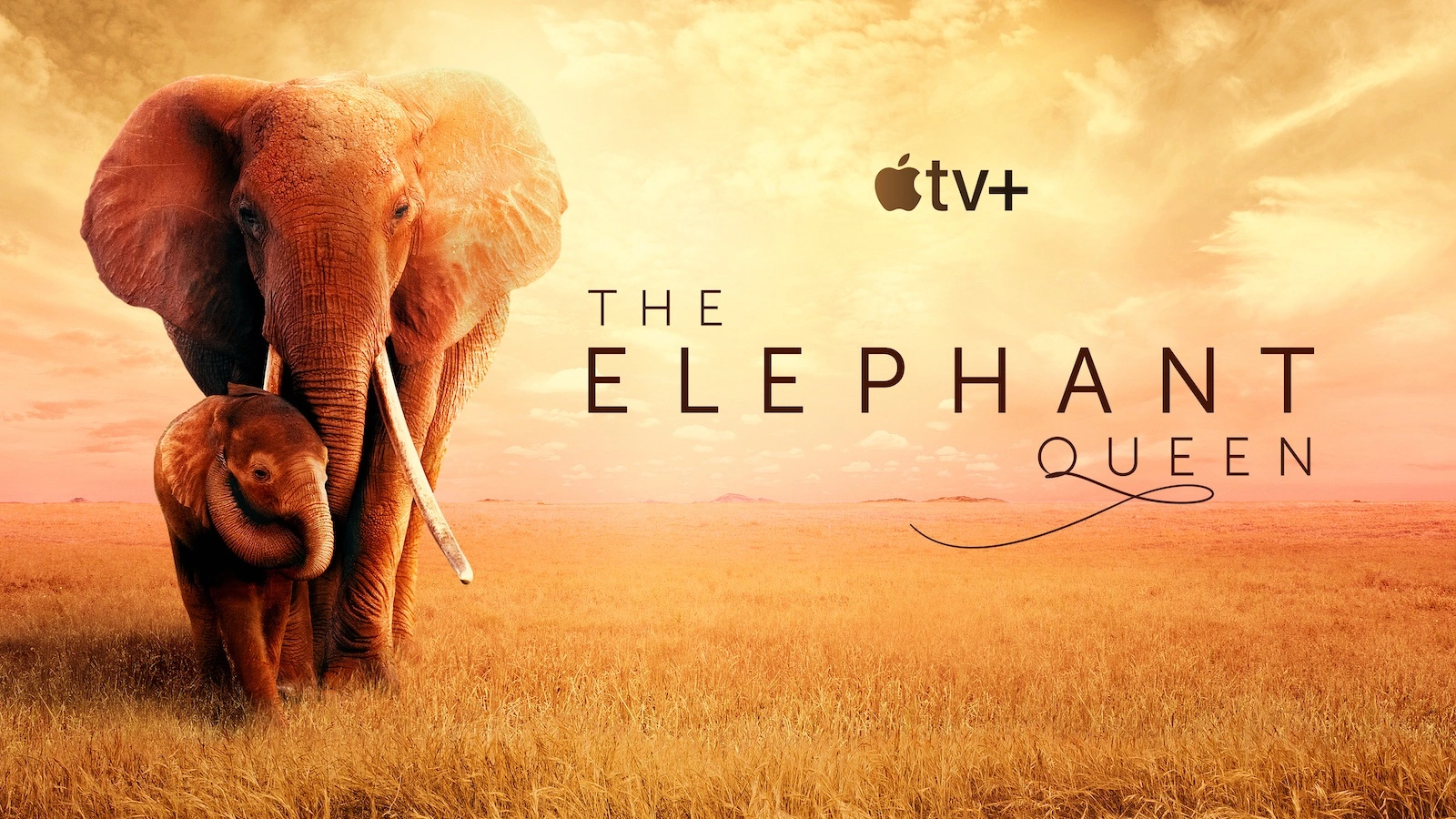 Image: Apple TV+