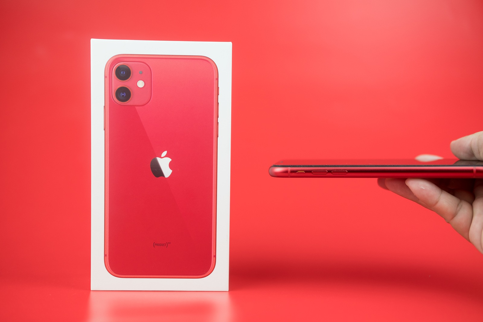 Bangkok, Thailand - November 25, 2019: Man hand holding red iPhone 11 against red background the new thin side view of Apple Computers iPhone 11