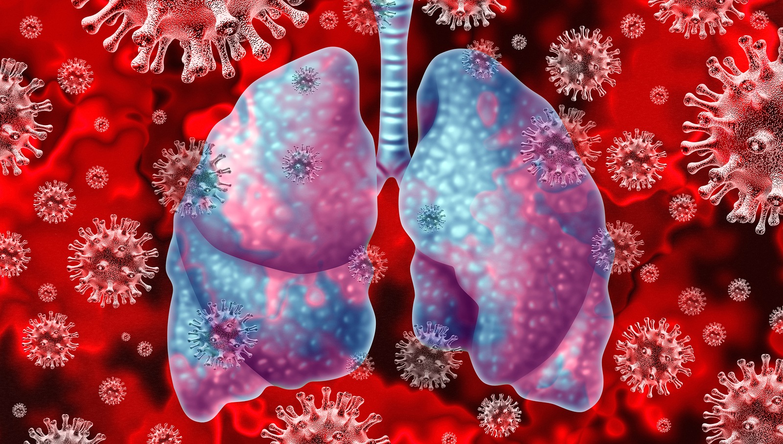 Respiratory virus and coronavirus outbreak and coronaviruses influenza background as dangerous flu strain cases or SARS as a pandemic medical health risk concept with infected human lungs as a 3D render