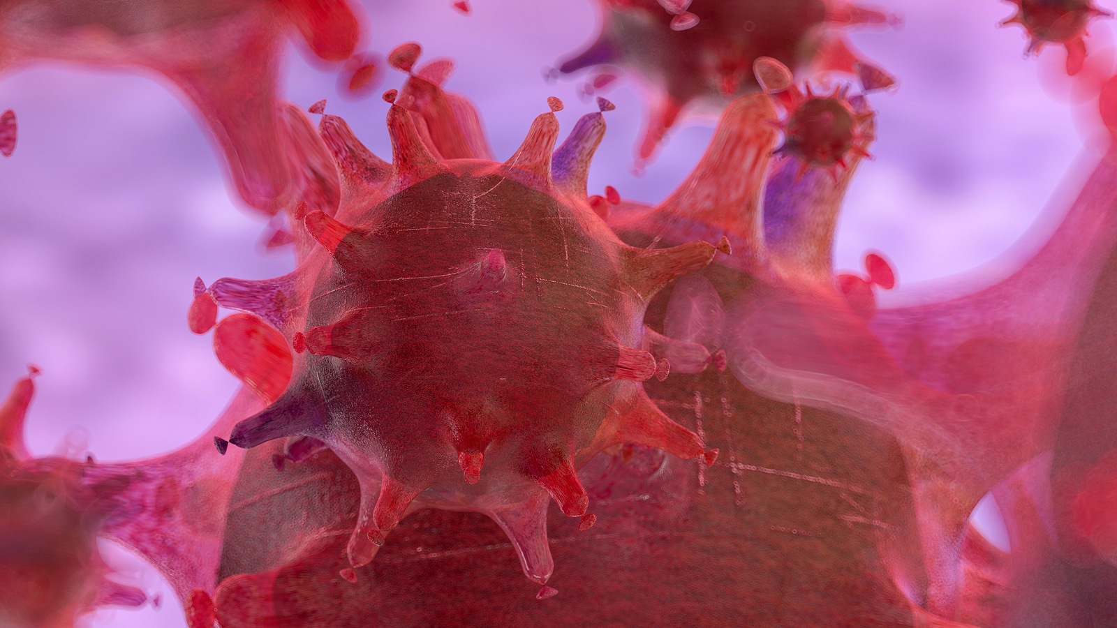 Coronavirus 2019-nCov novel coronavirus concept responsible for asian flu outbreak and coronaviruses influenza as dangerous flu strain cases as a pandemic. Microscope virus close up. 3d rendering