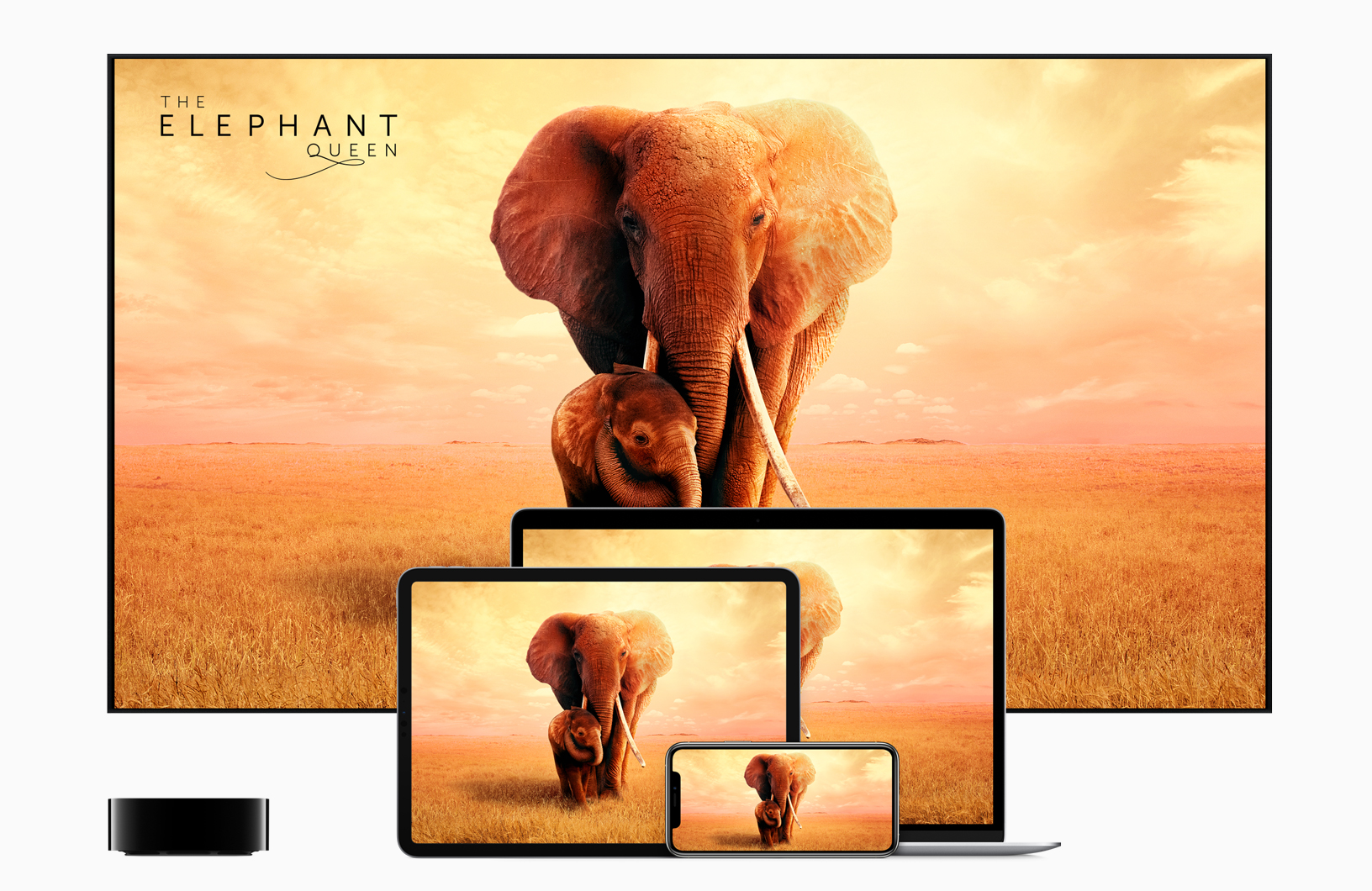 Apple TV+
