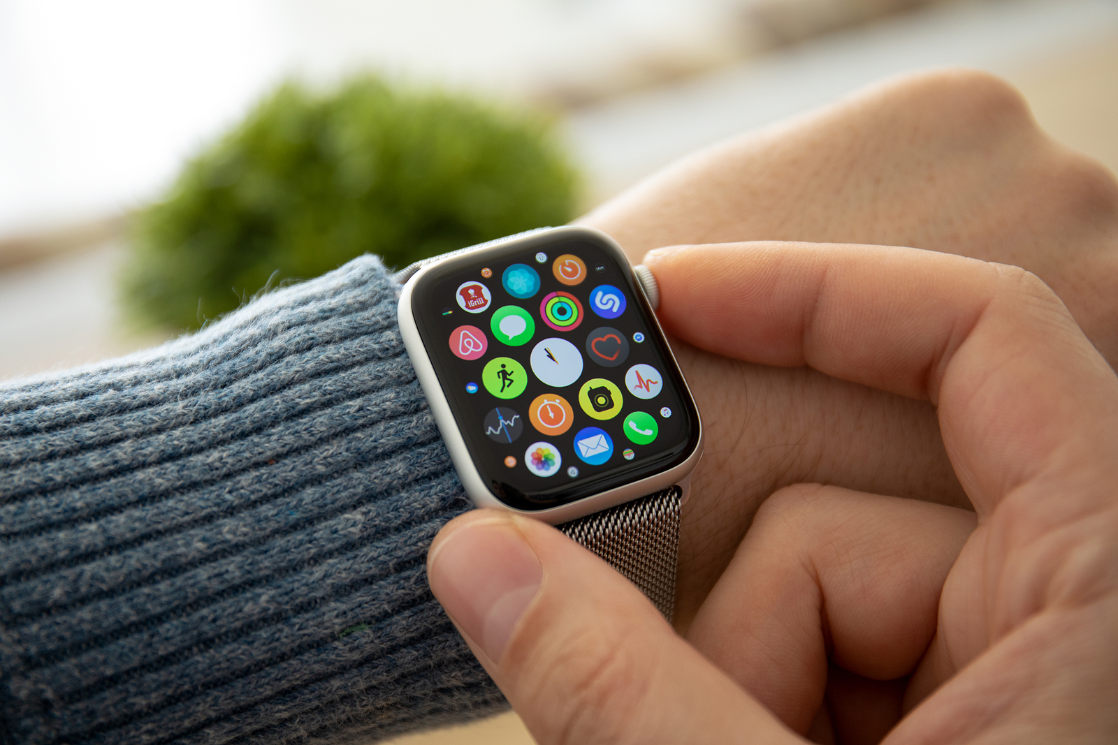 watchOS 7.3