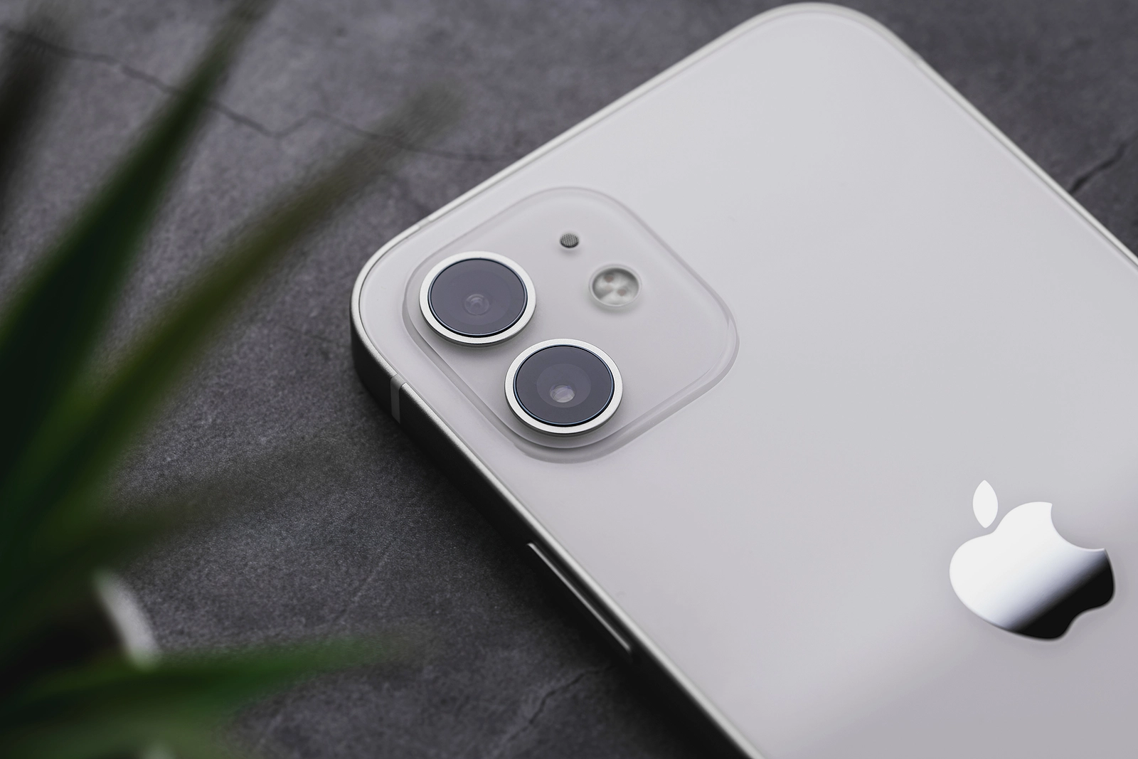 iPhone 2021