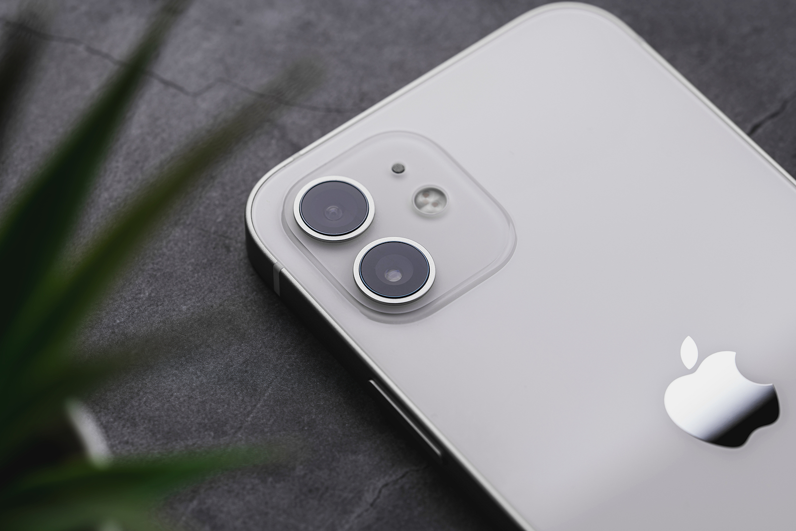 iPhone 12 mini