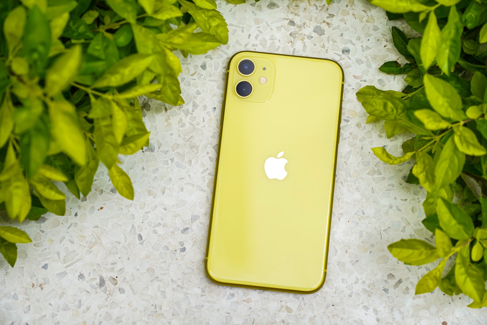 iOS 15.1