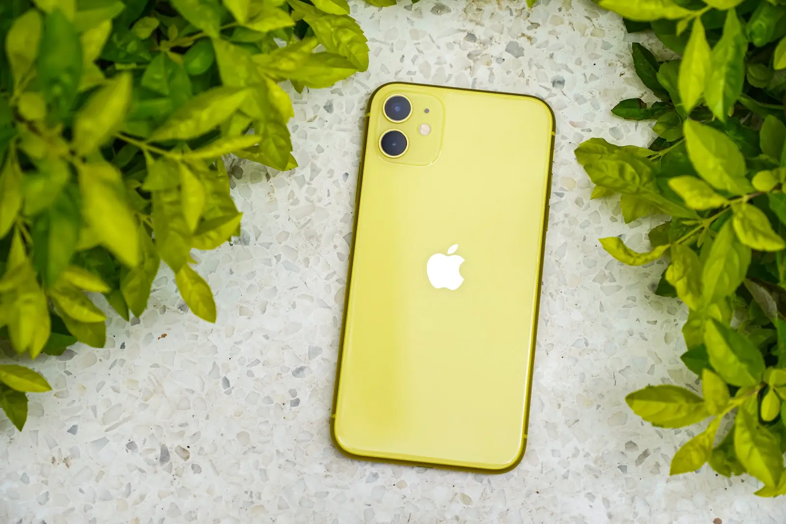 iOS 15.1