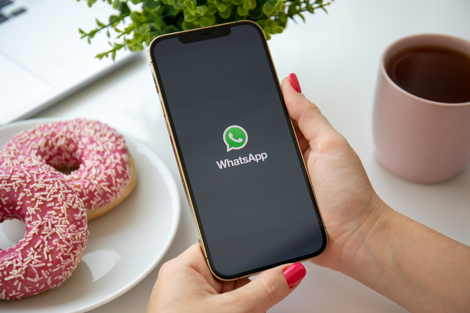 WhatsApp multi-device support