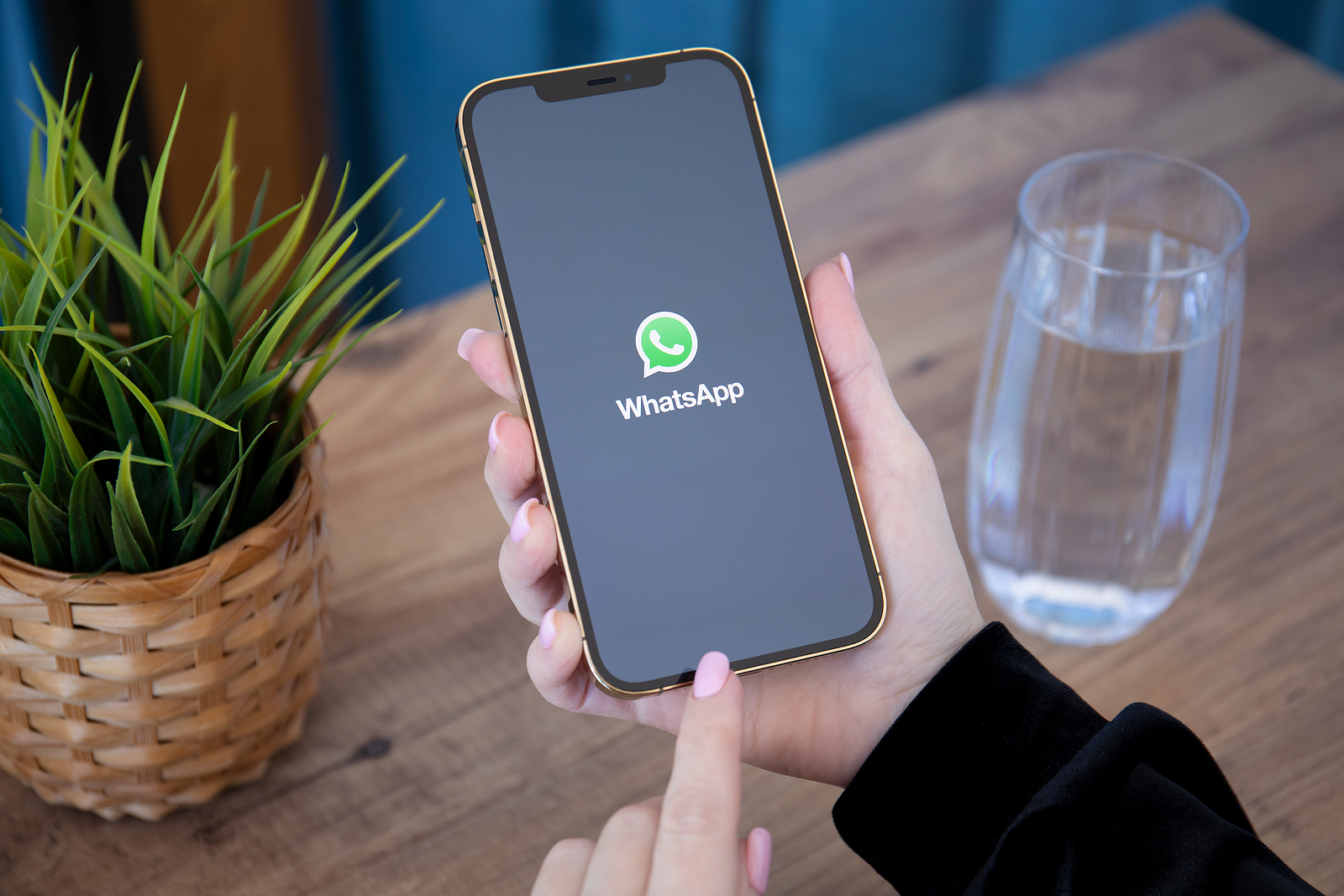 WhatsApp Reactions Emoji Groups
