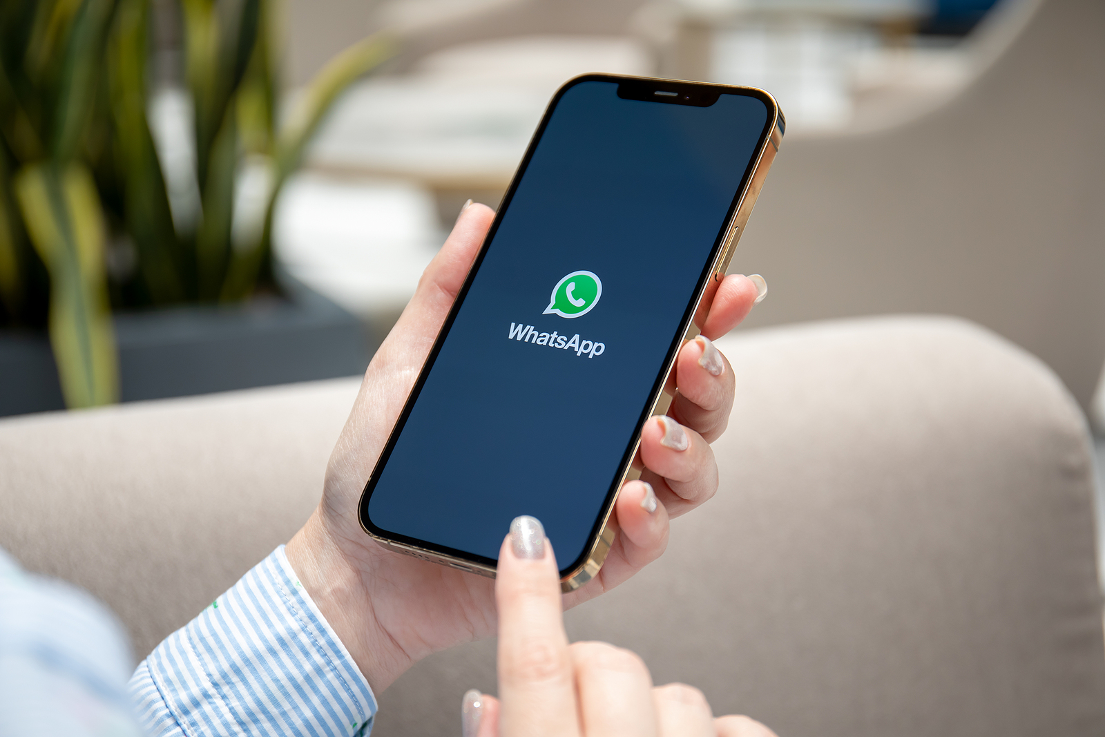 WhatsApp username