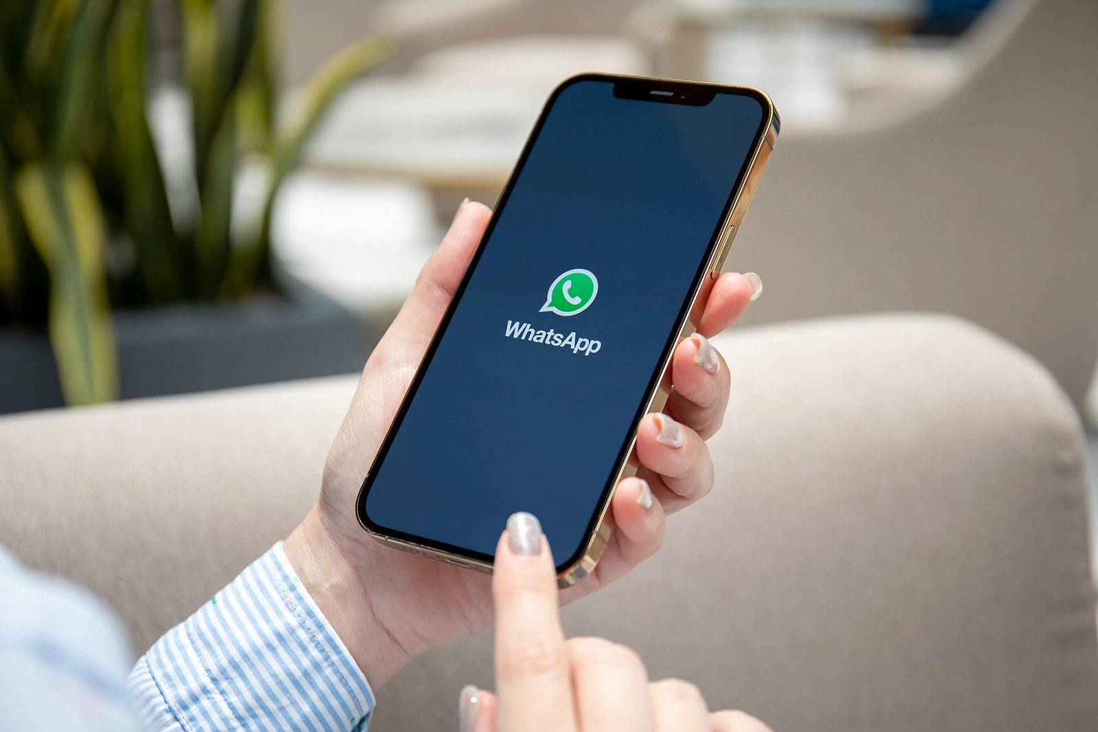 WhatsApp username