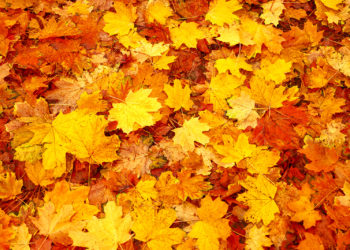 Apple October iPadOS