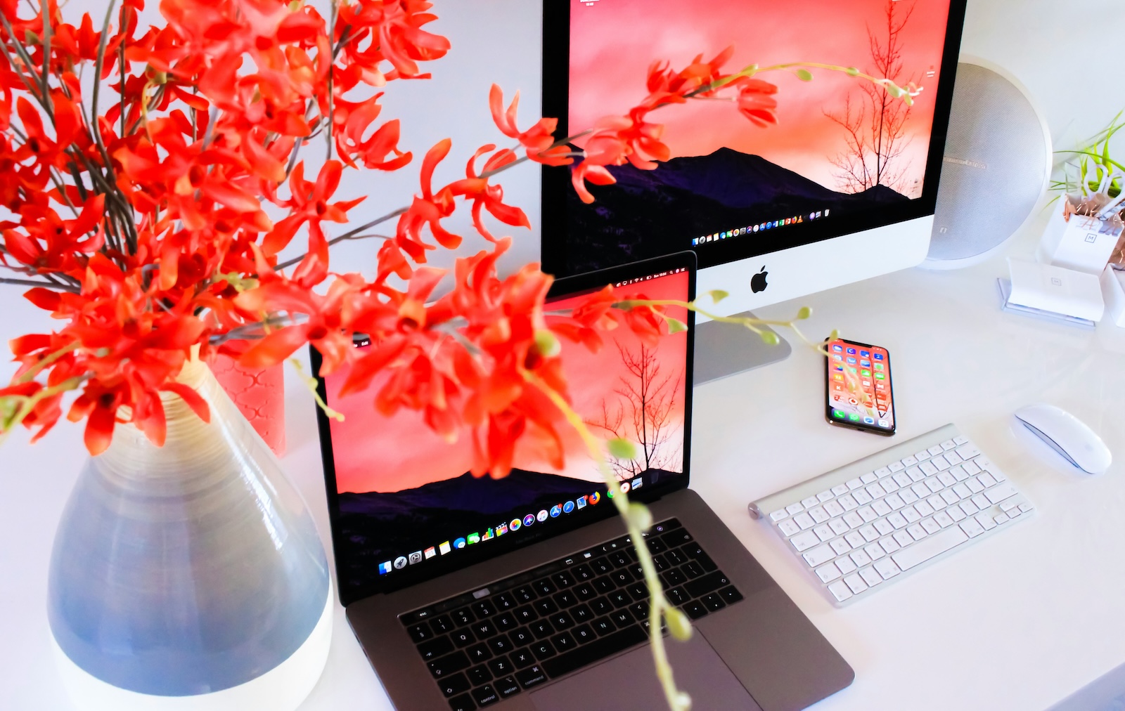 iOS 18 & macOS 15