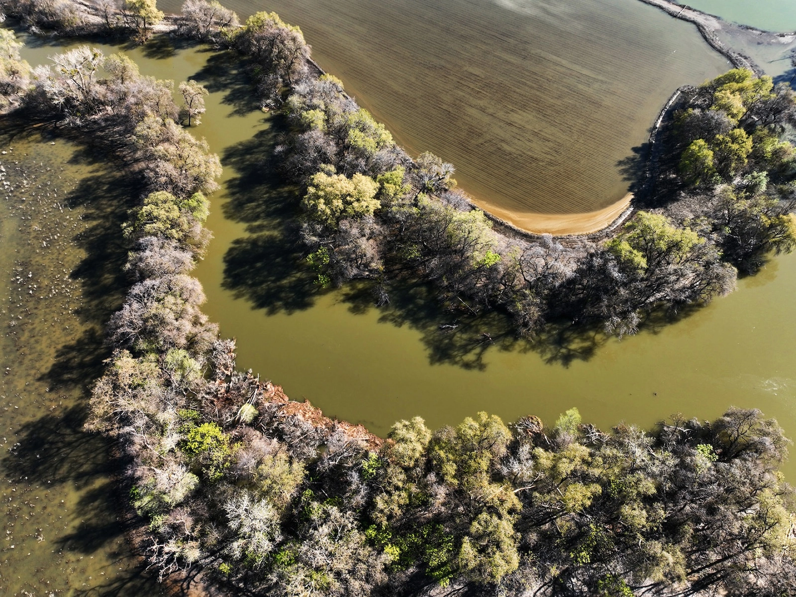 Apple carbon neutral