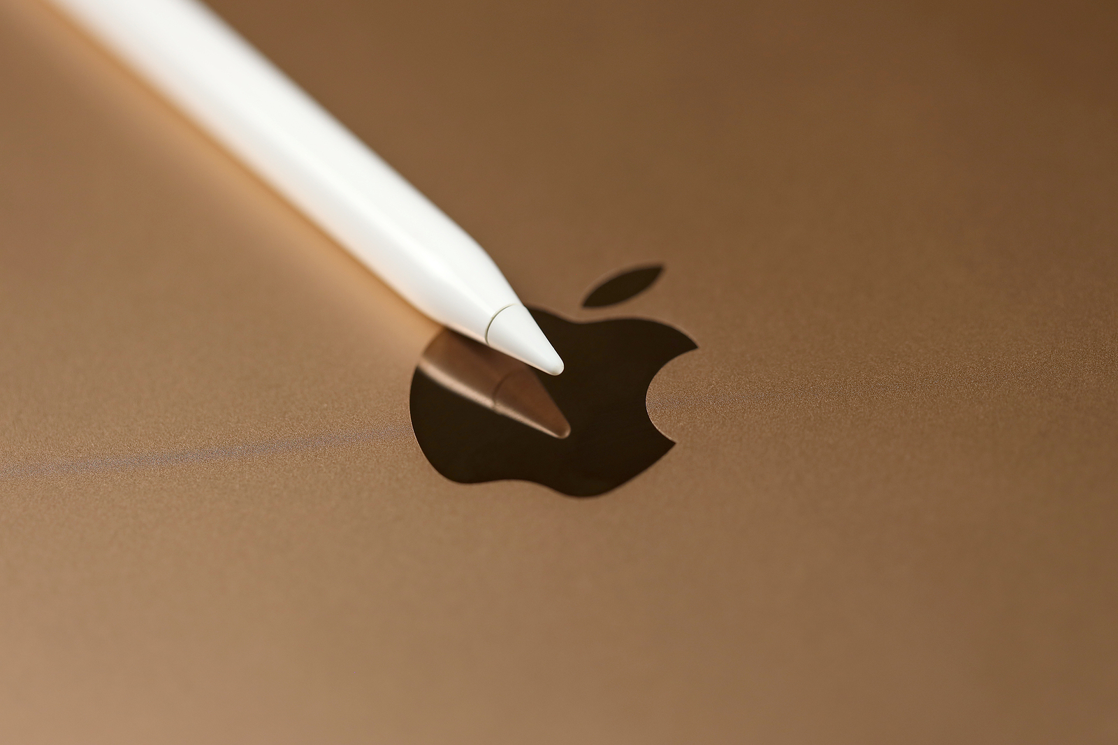 Apple Pencil Pro iPad