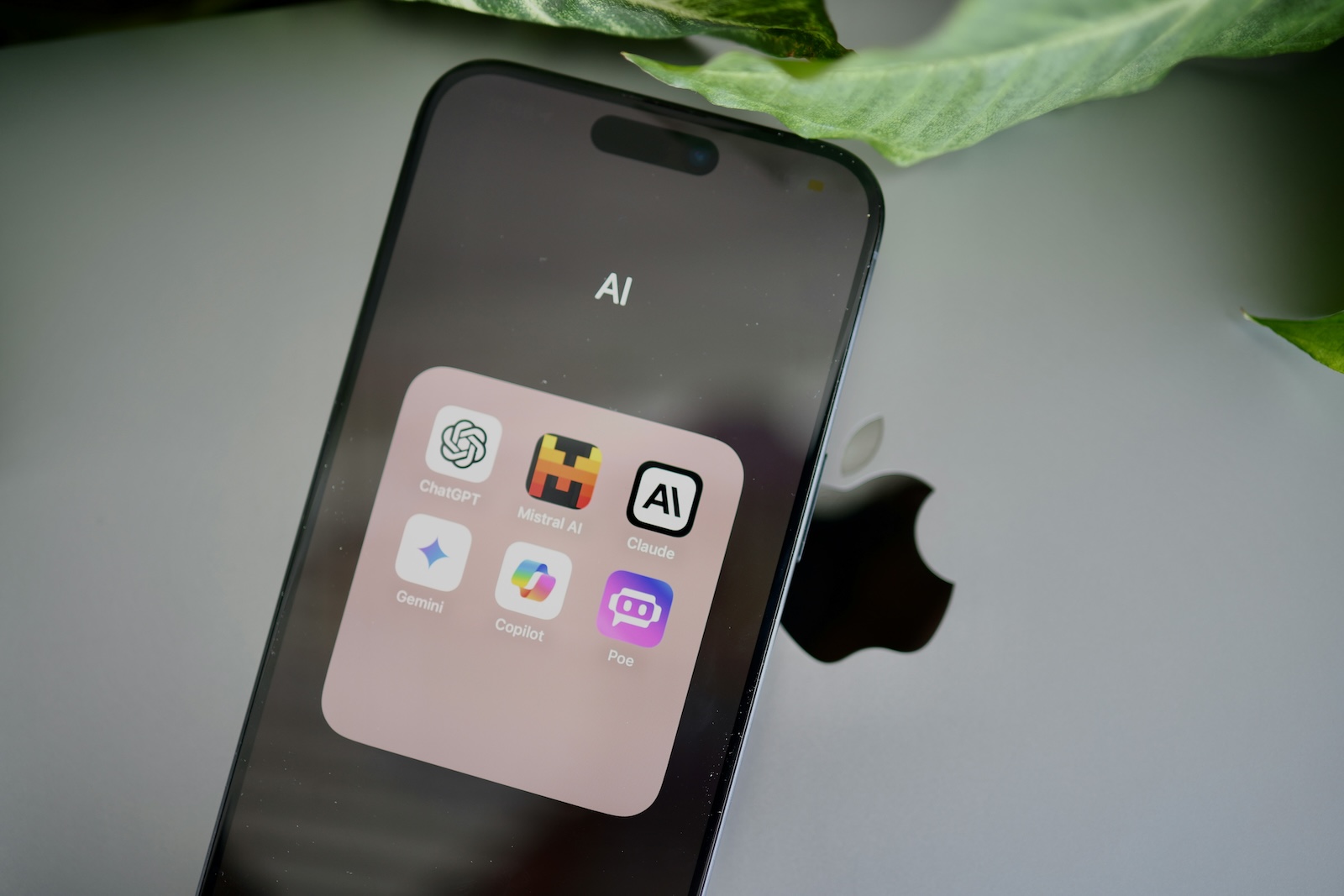 iPhone 17 Plus display