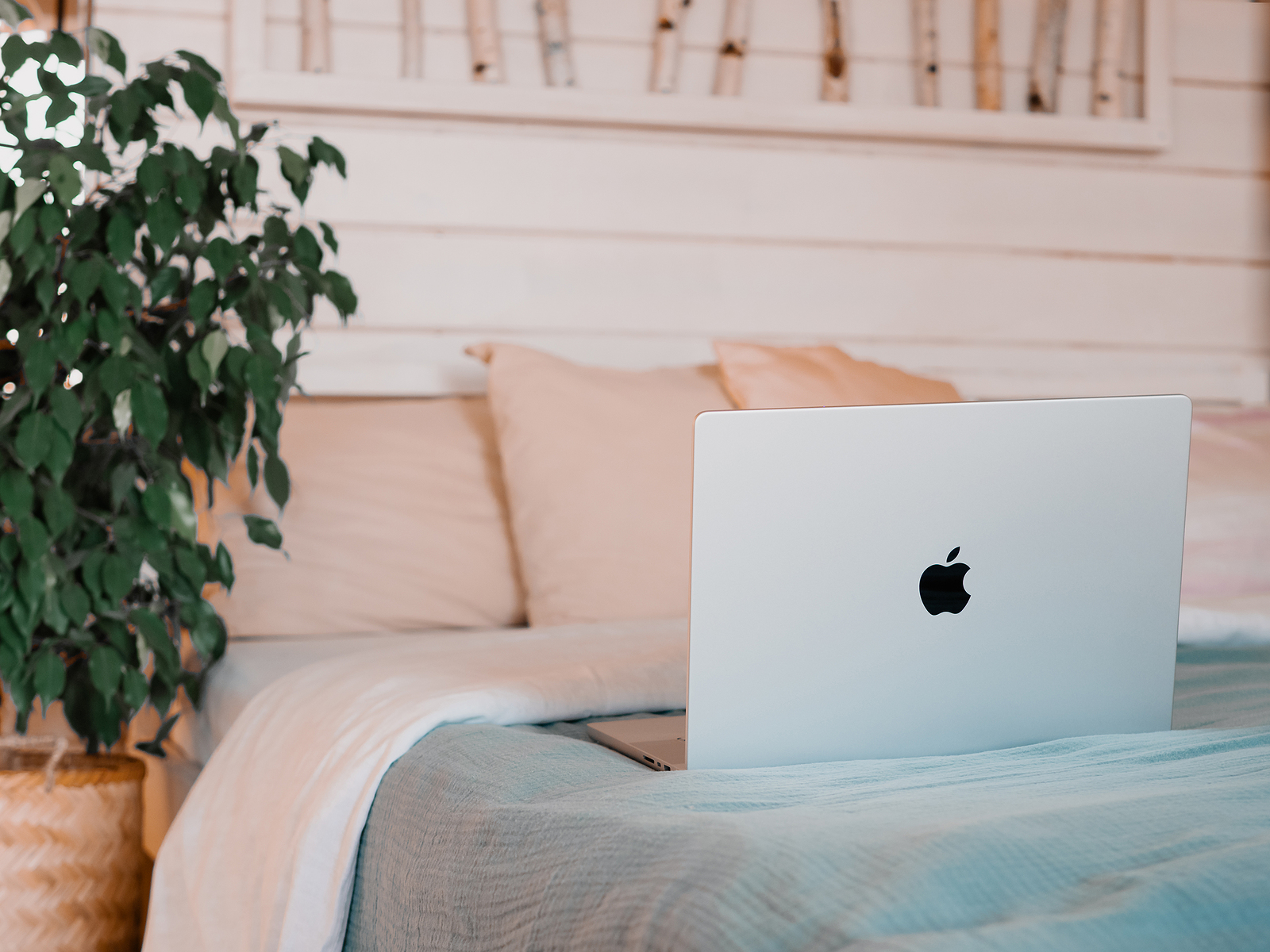 macOS 15 Apple