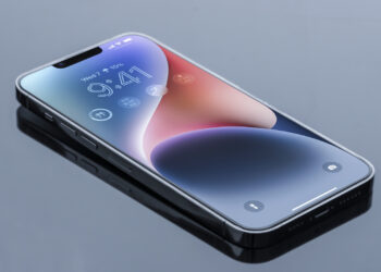 iOS 18 Passwords App Features
