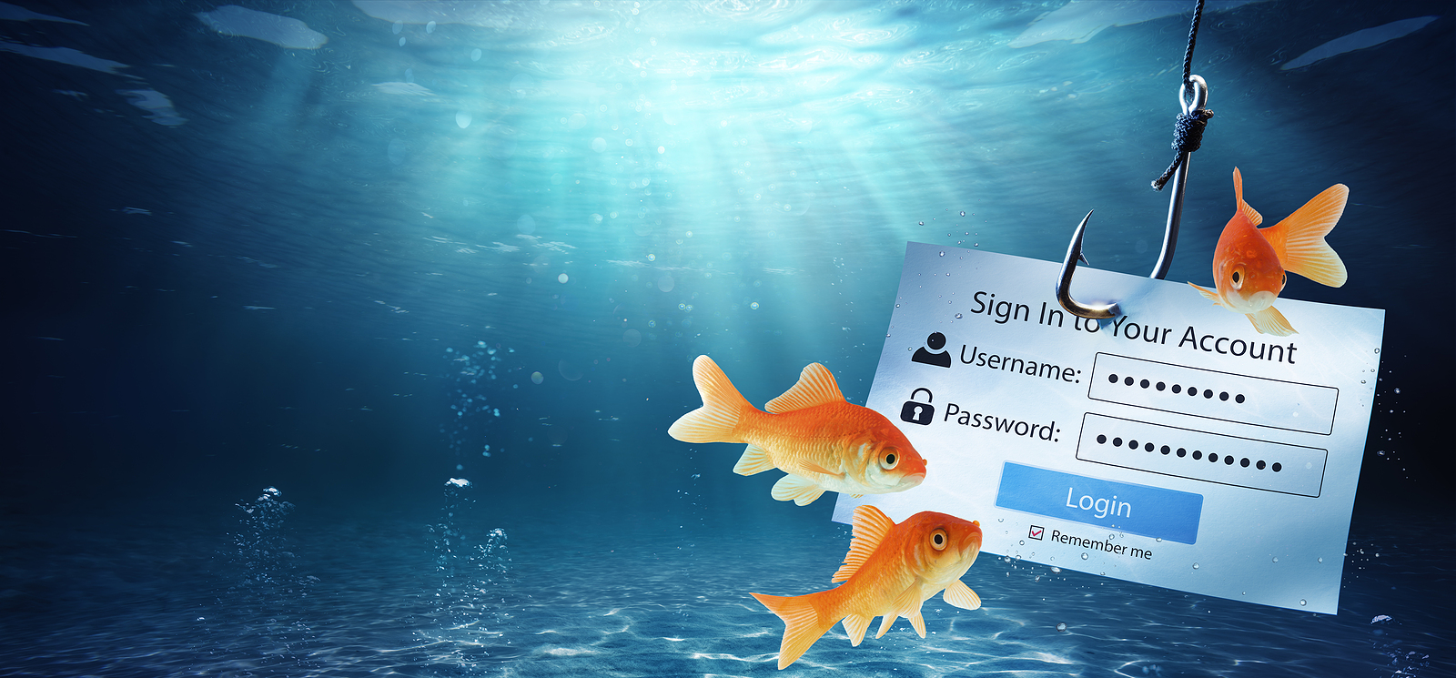 Detect App Store or iTunes Store emails