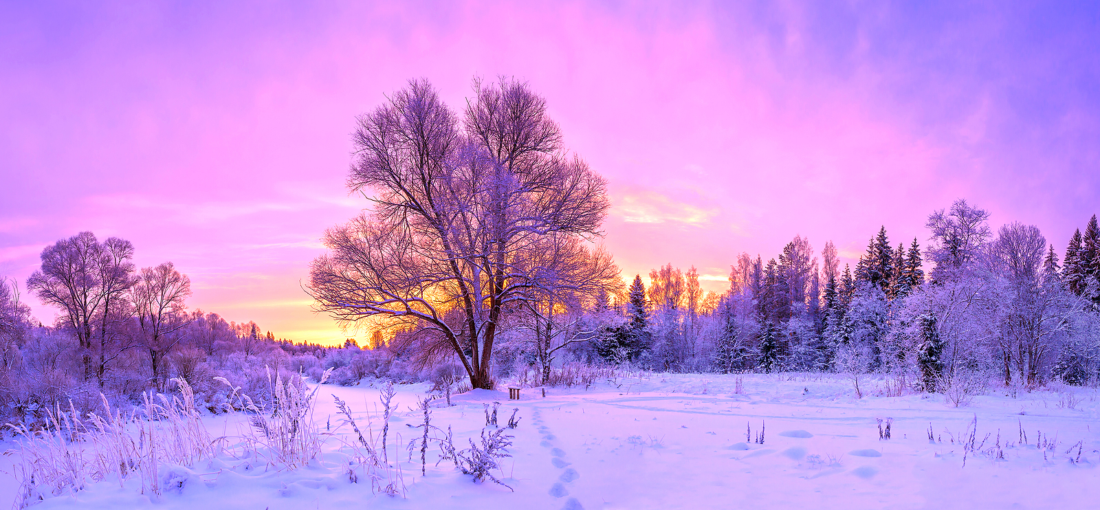 Apple December 2024