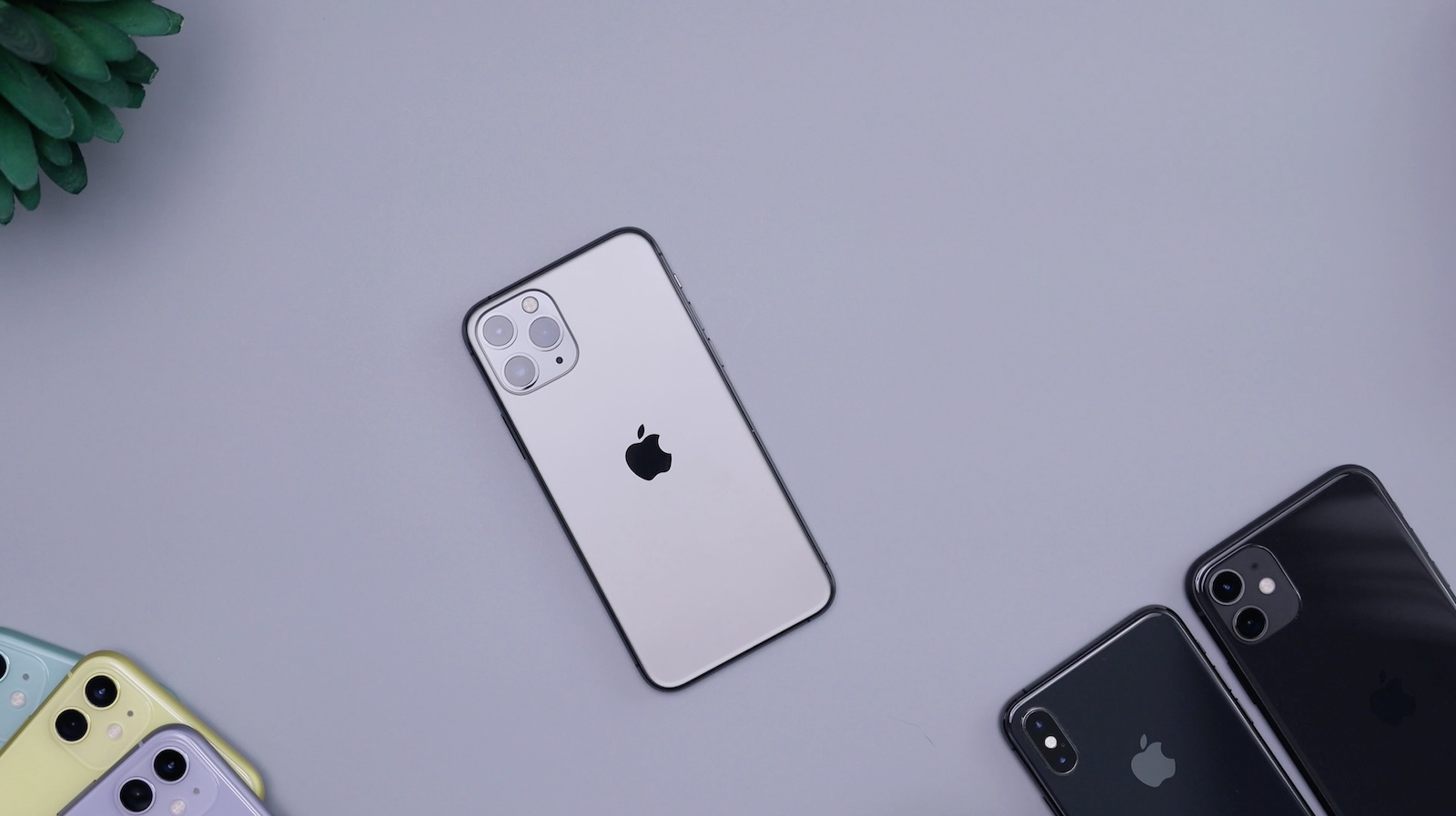 Apple Meta
