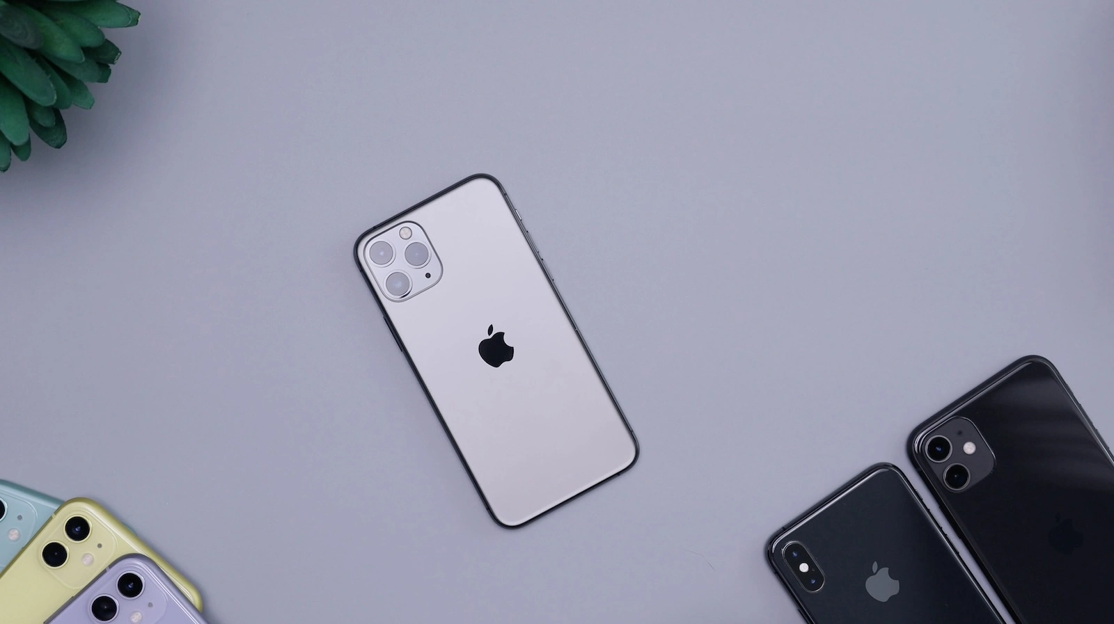 Apple Meta