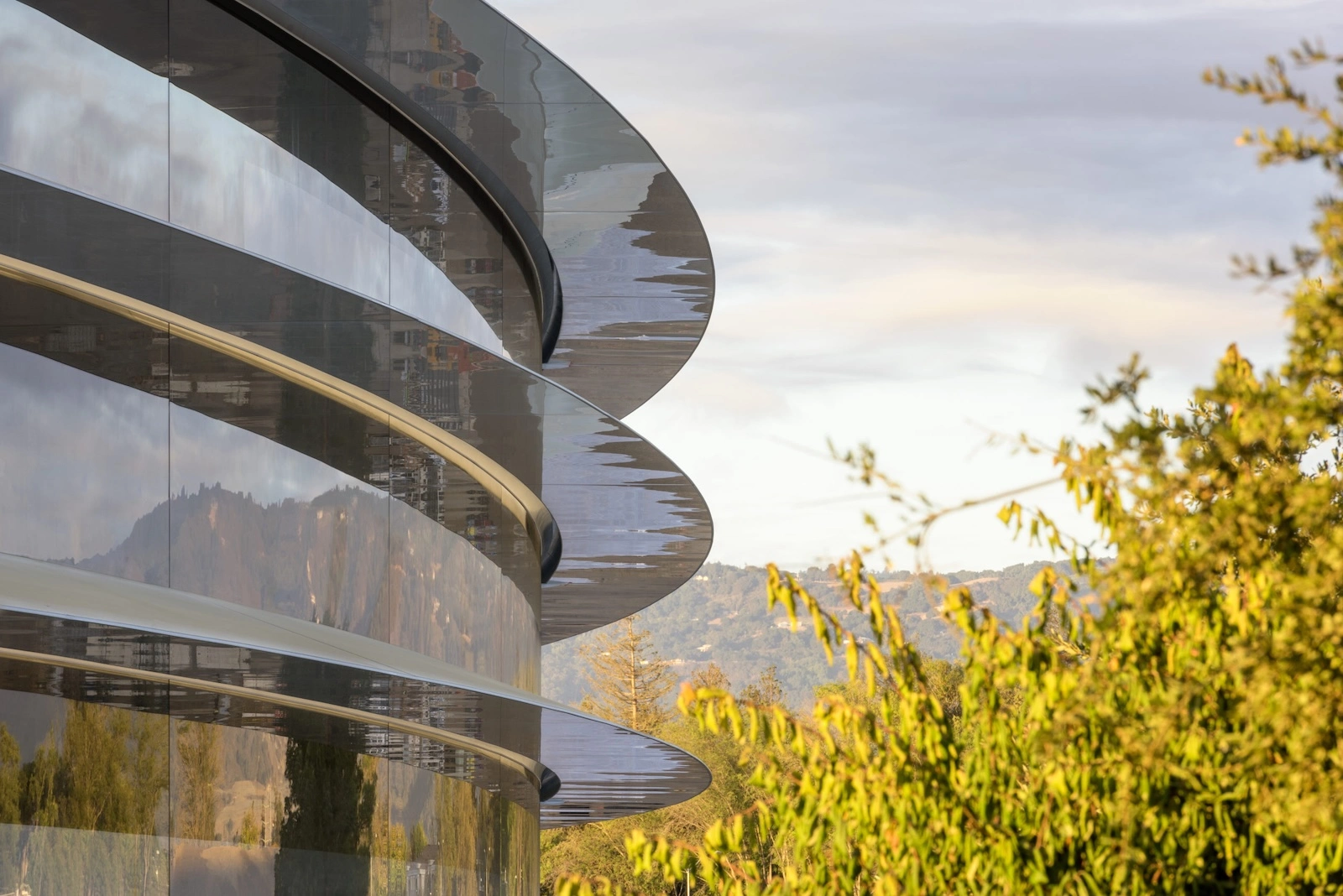 Apple Board of Directors