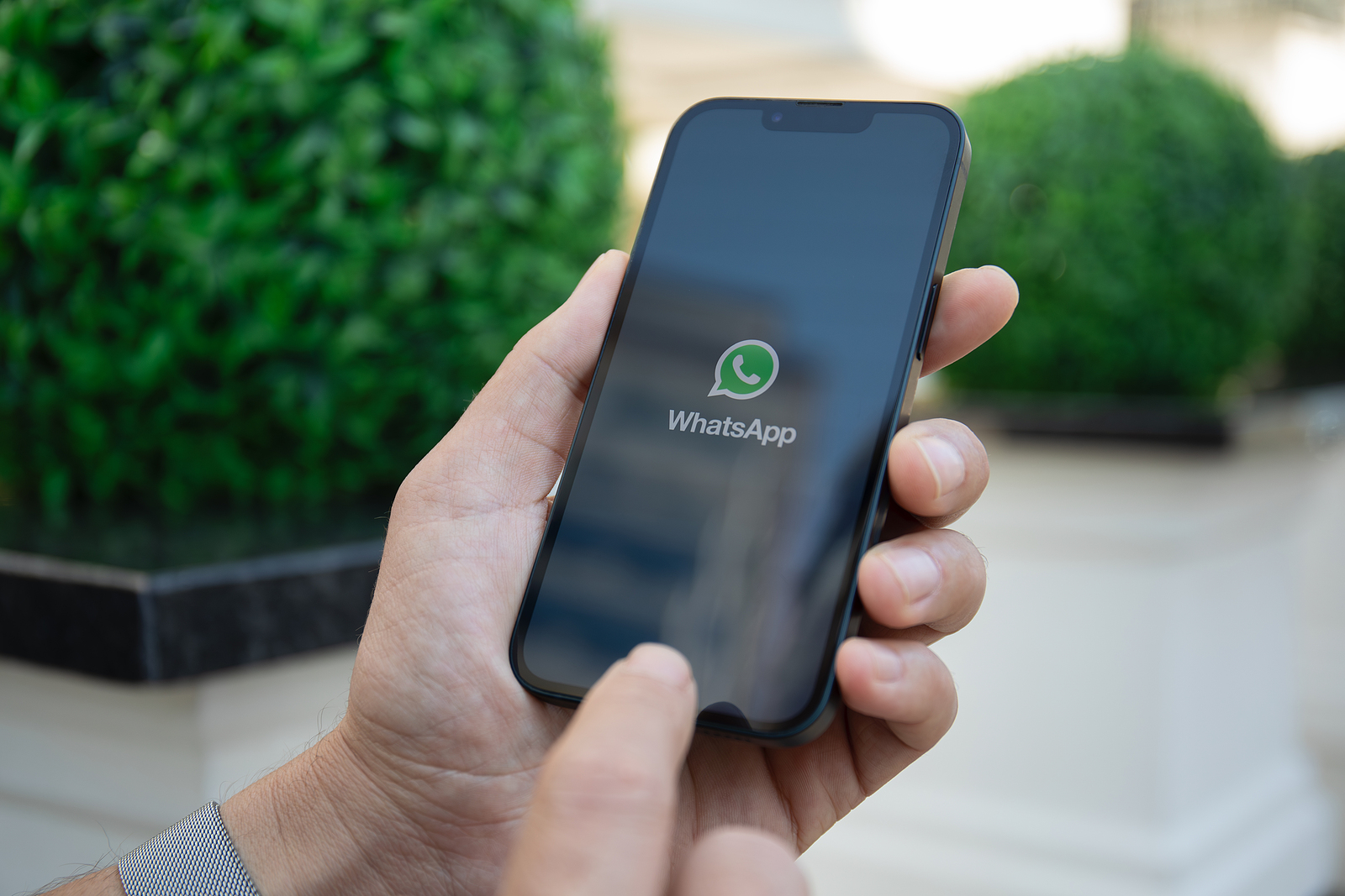 WhatsApp update