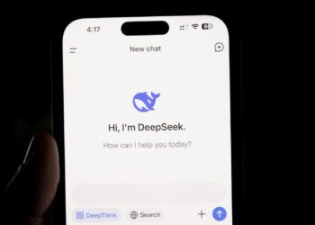 DeepSeek Privacy Policy