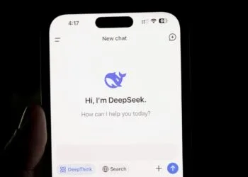 DeepSeek Privacy Policy