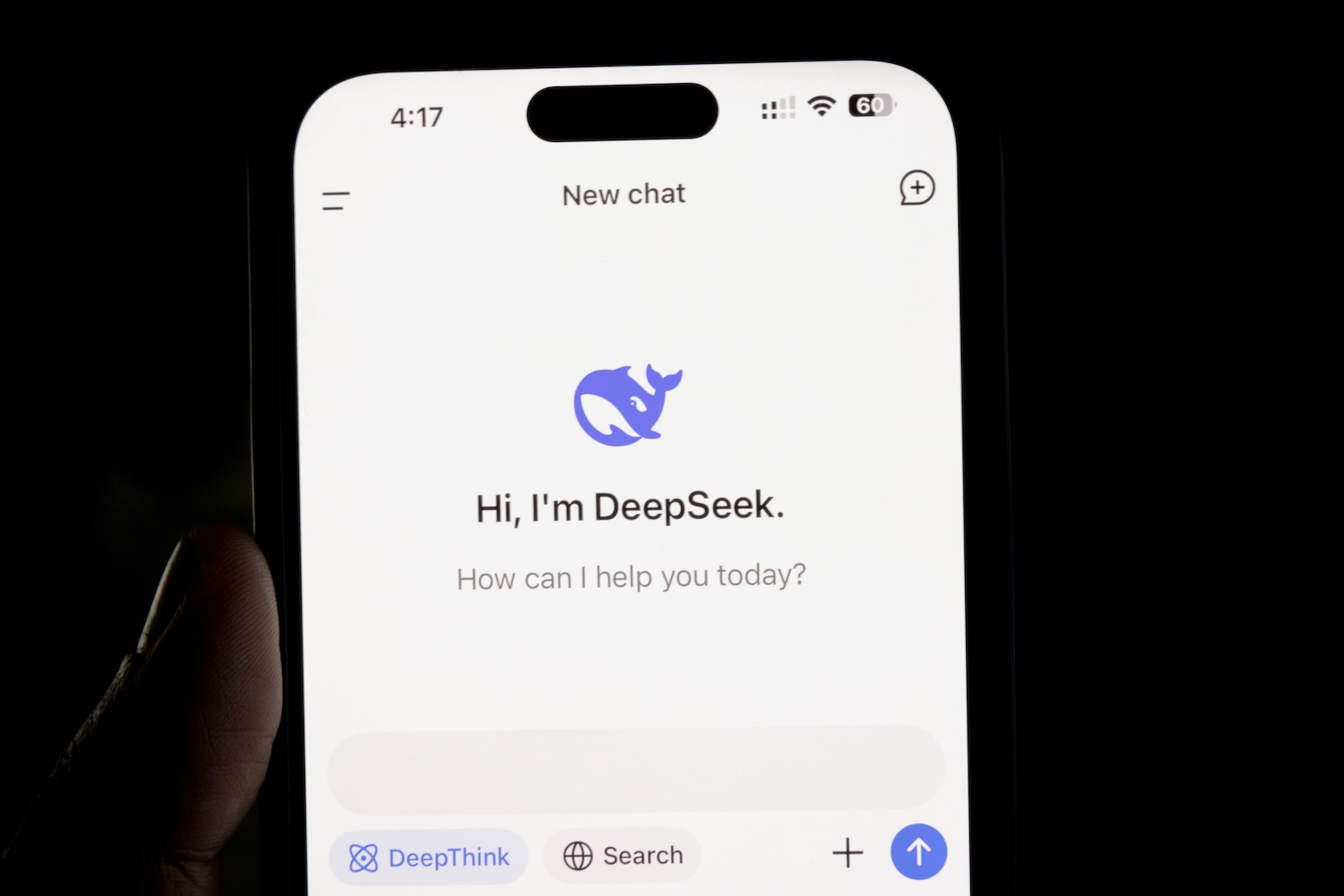 DeepSeek Privacy Policy