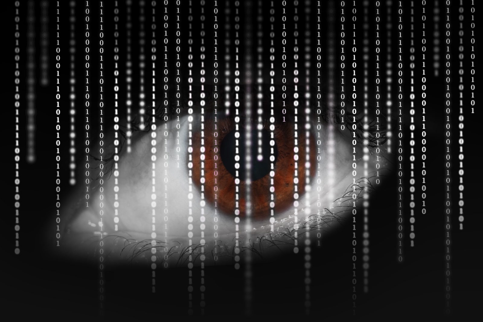 Login data passkeys