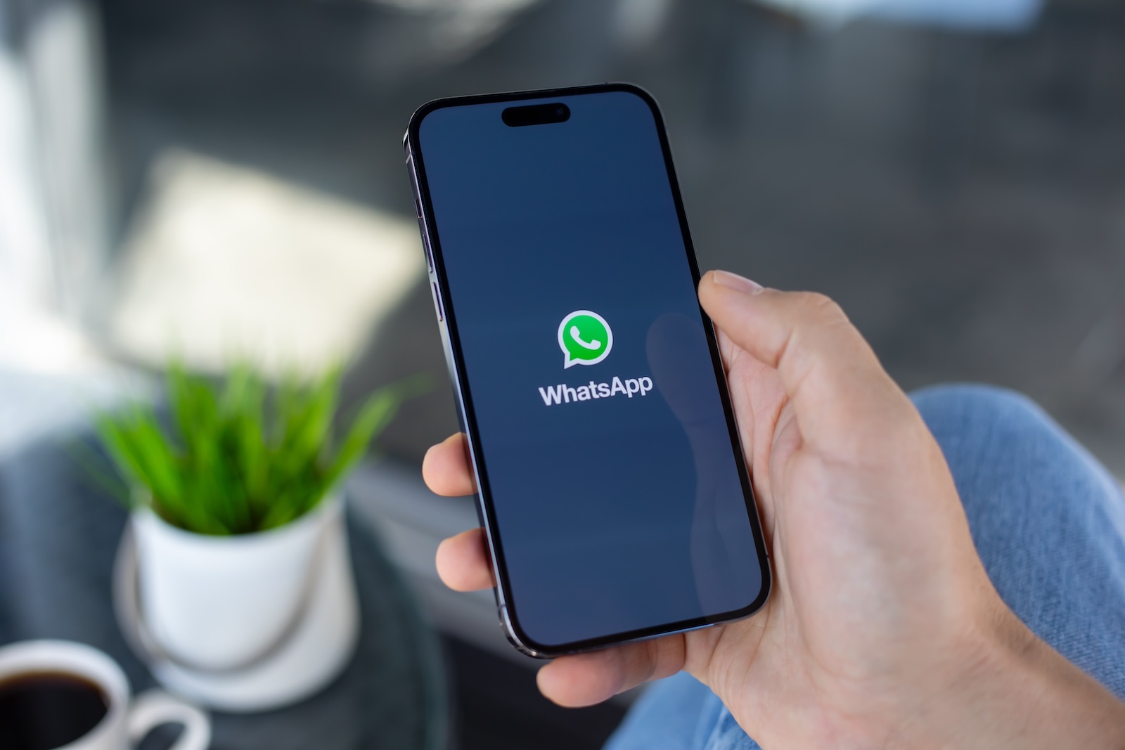 WhatsApp username