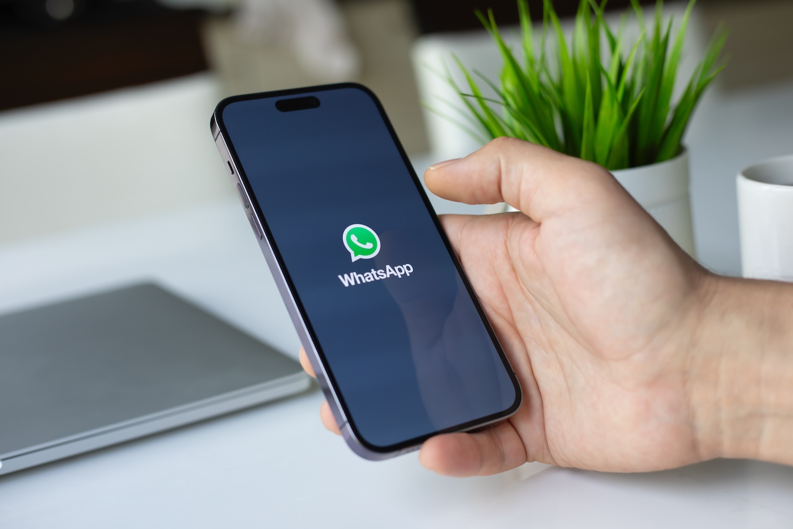 WhatsApp advertising