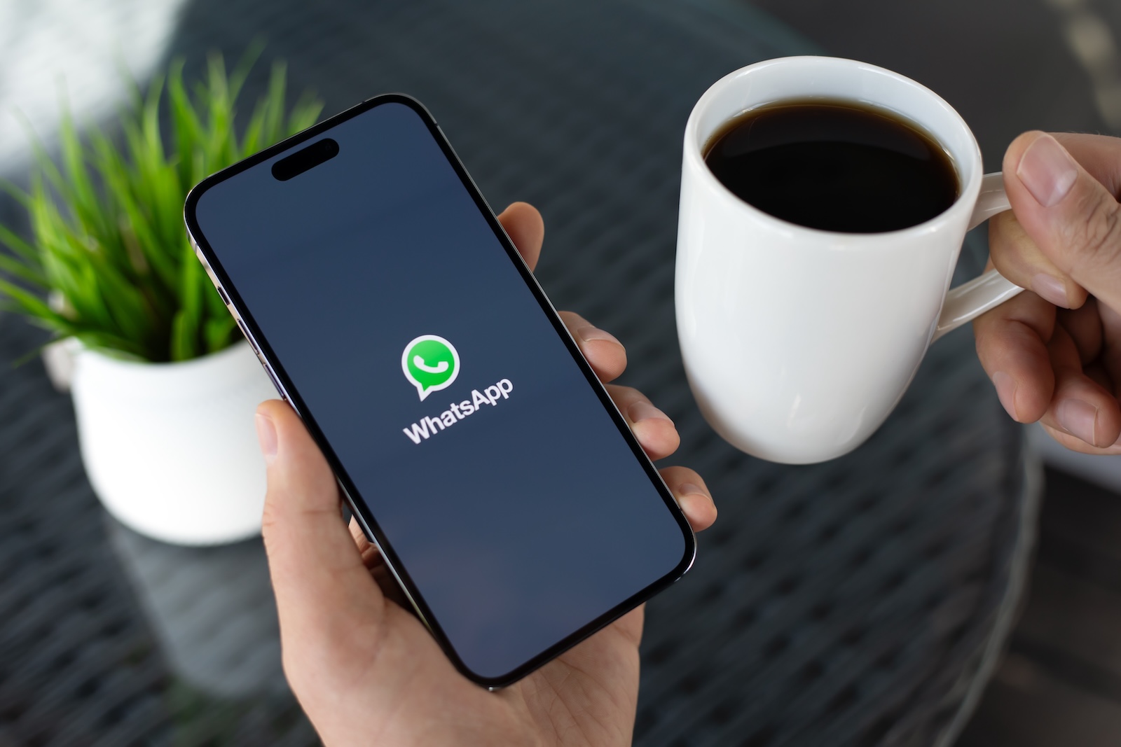 WhatsApp AI chatbots