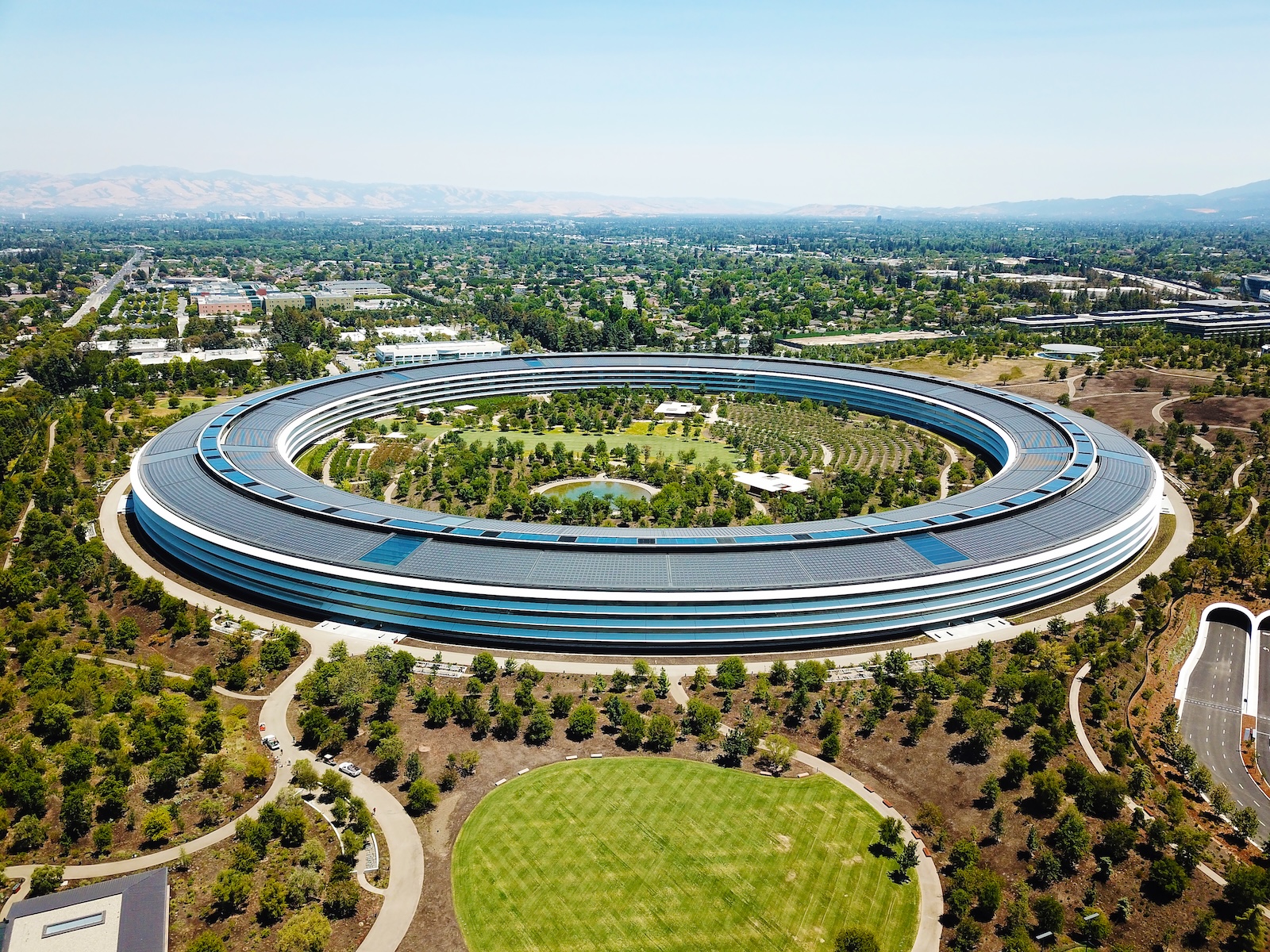Apple Jeff Williams