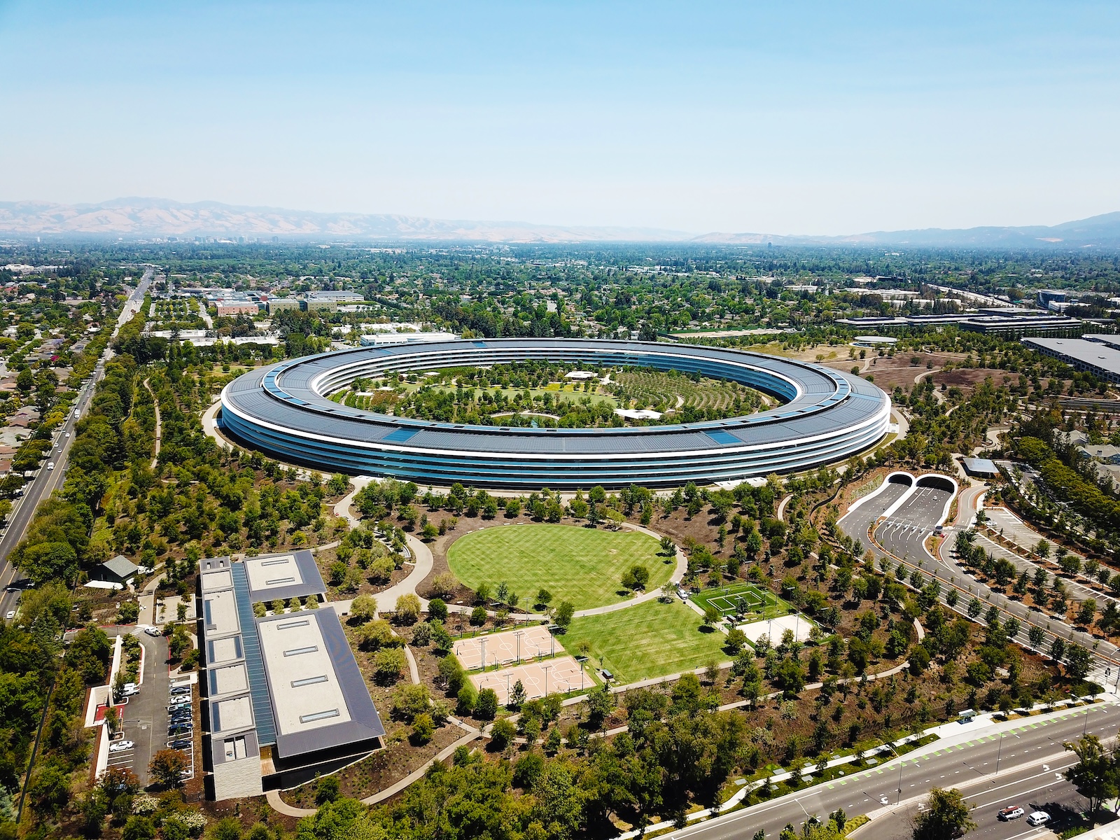 Apple Tim Cook