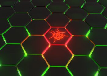 Apple Bug Bounty Program