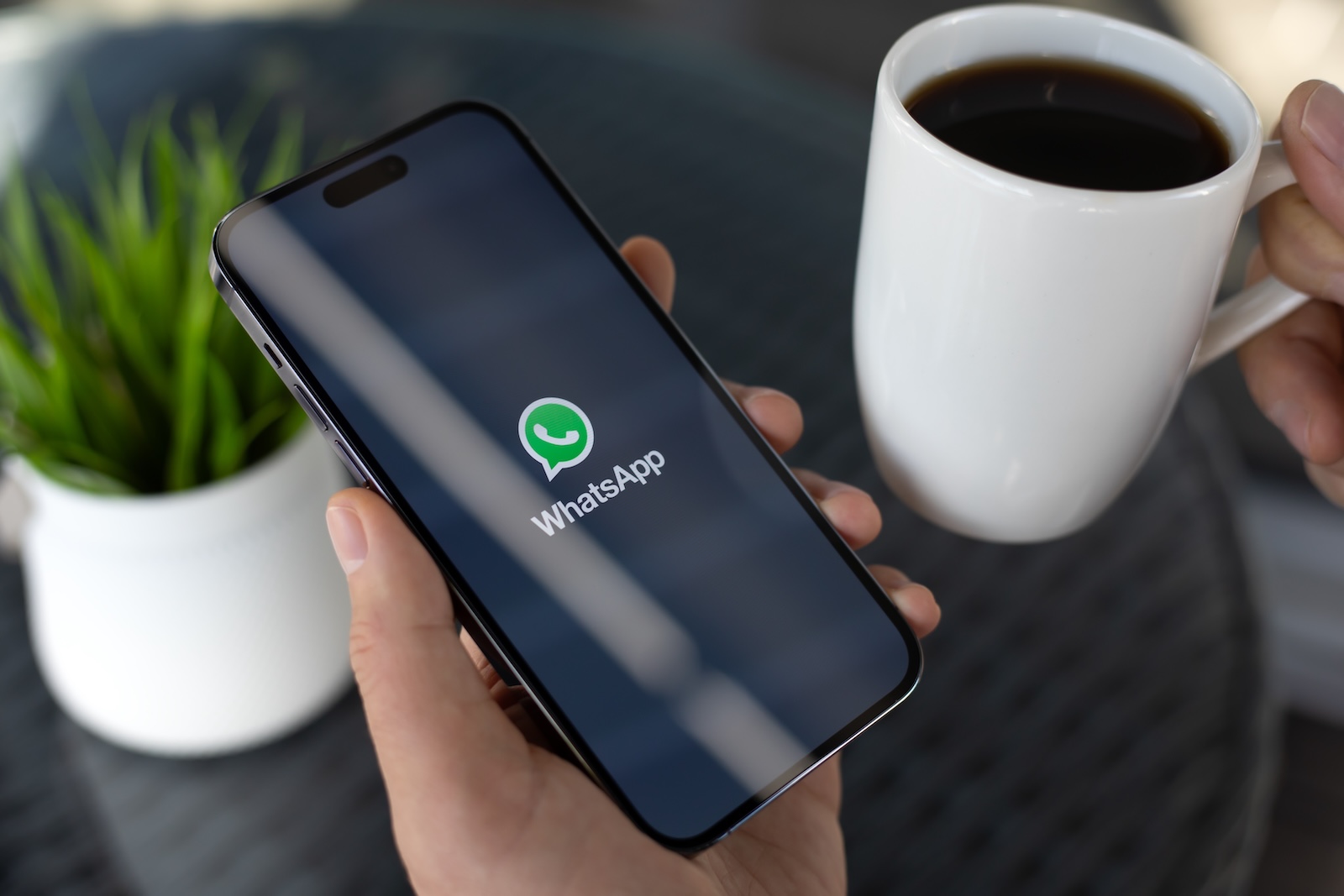 WhatsApp Liquid Glass