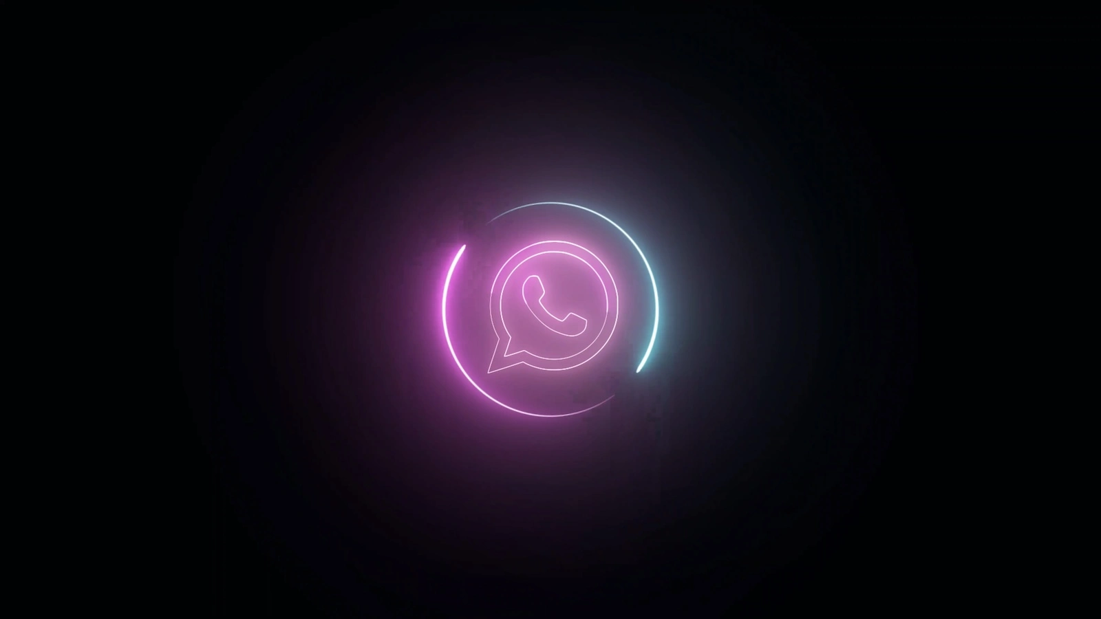 WhatsApp username