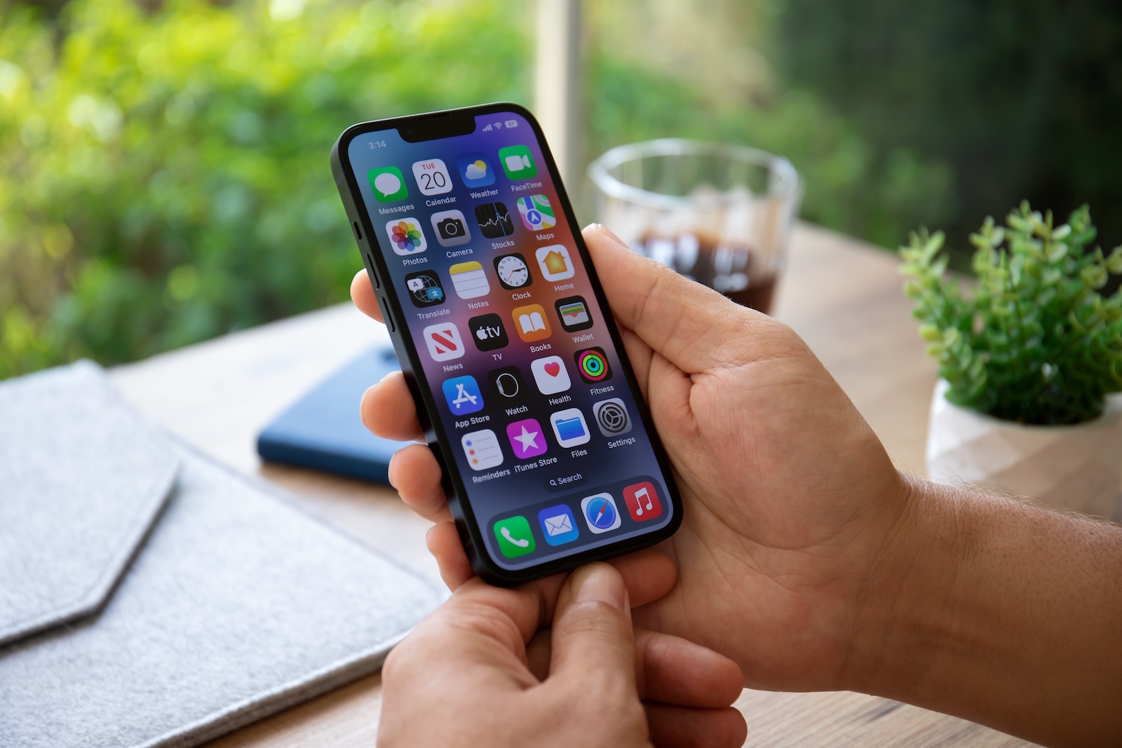 Apple Account Age Group iPhone