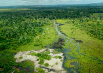 Apple conflict minerals