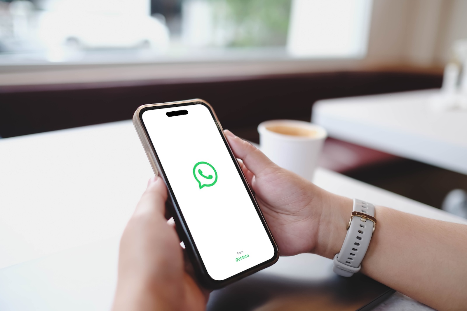 WhatsApp channels