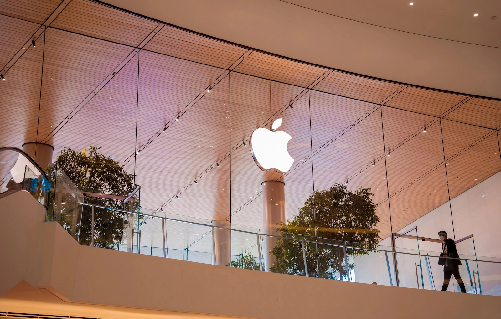 Apple stock