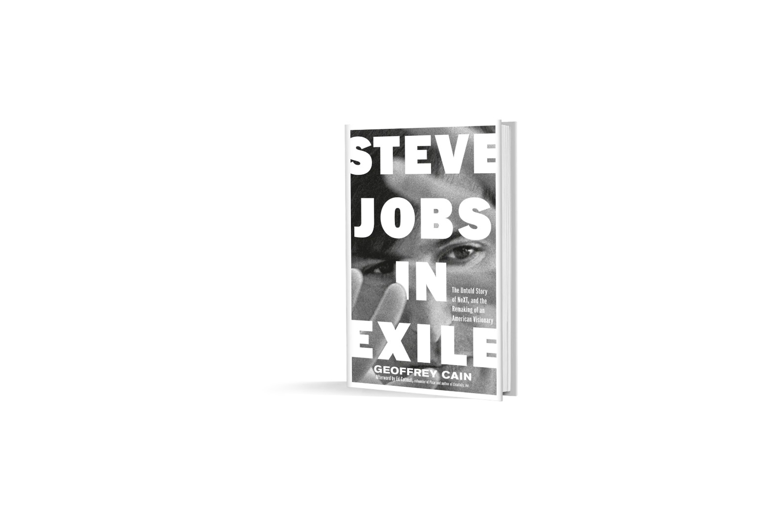 Steve Jobs in Exile Book