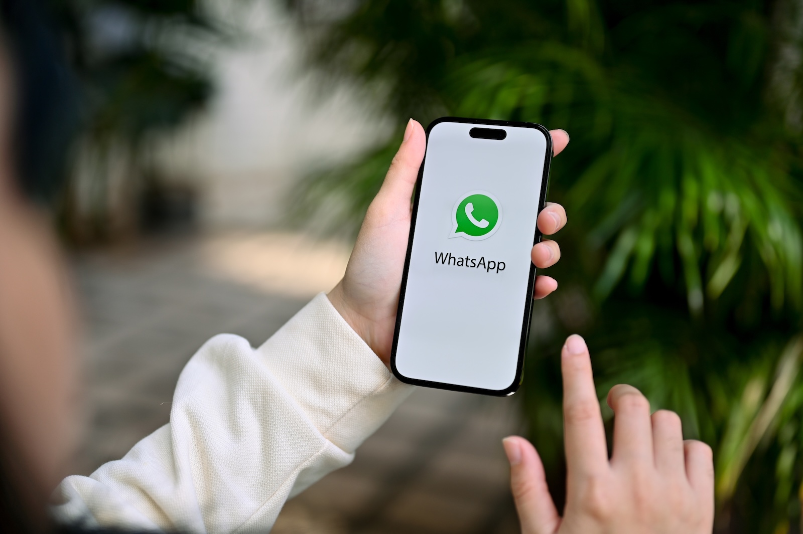 WhatsApp scheduled messages