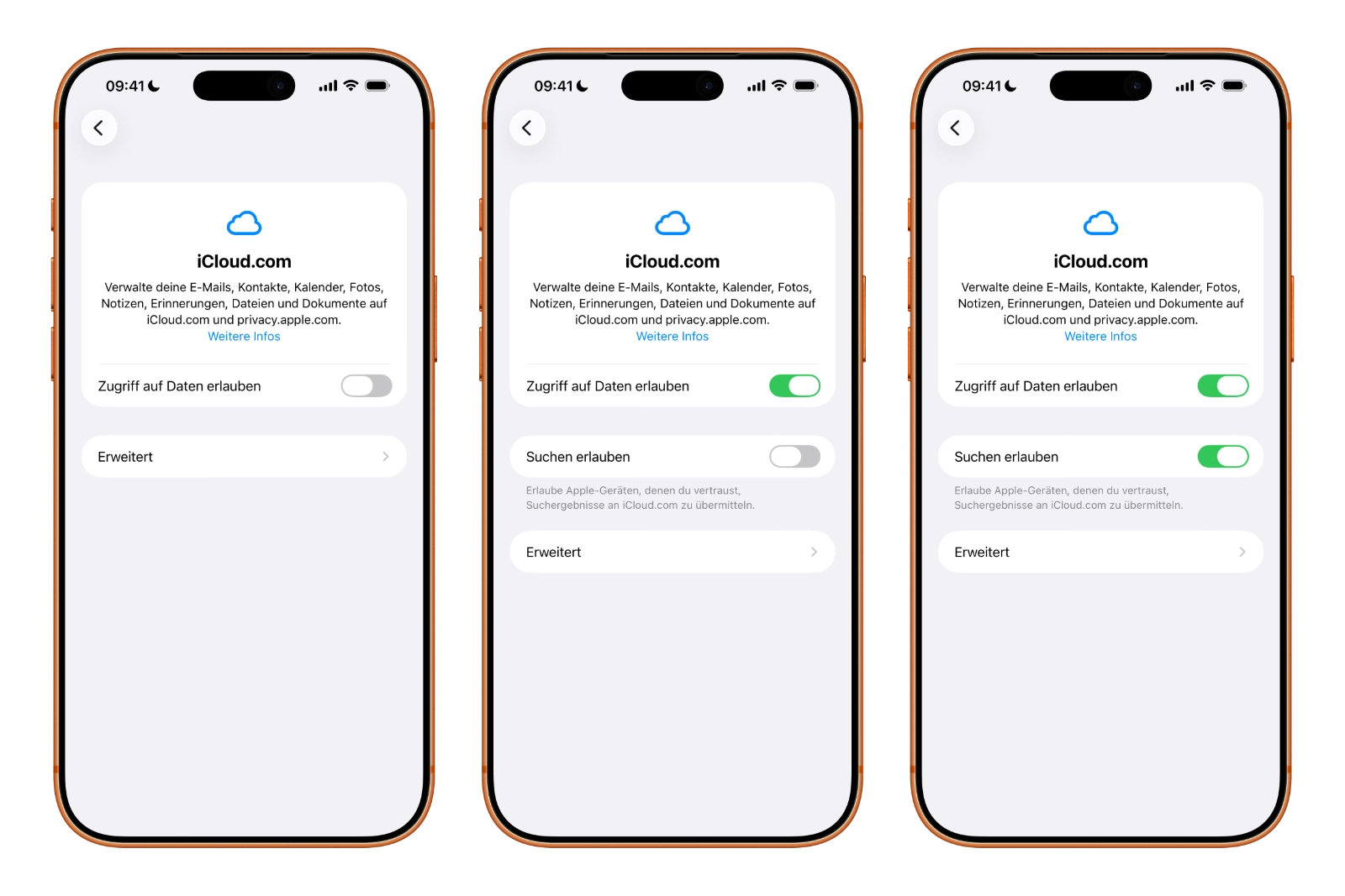 Searching iCloud.com: three steps on iPhone from the iCloud settings via the allow search toggle to the confirmation