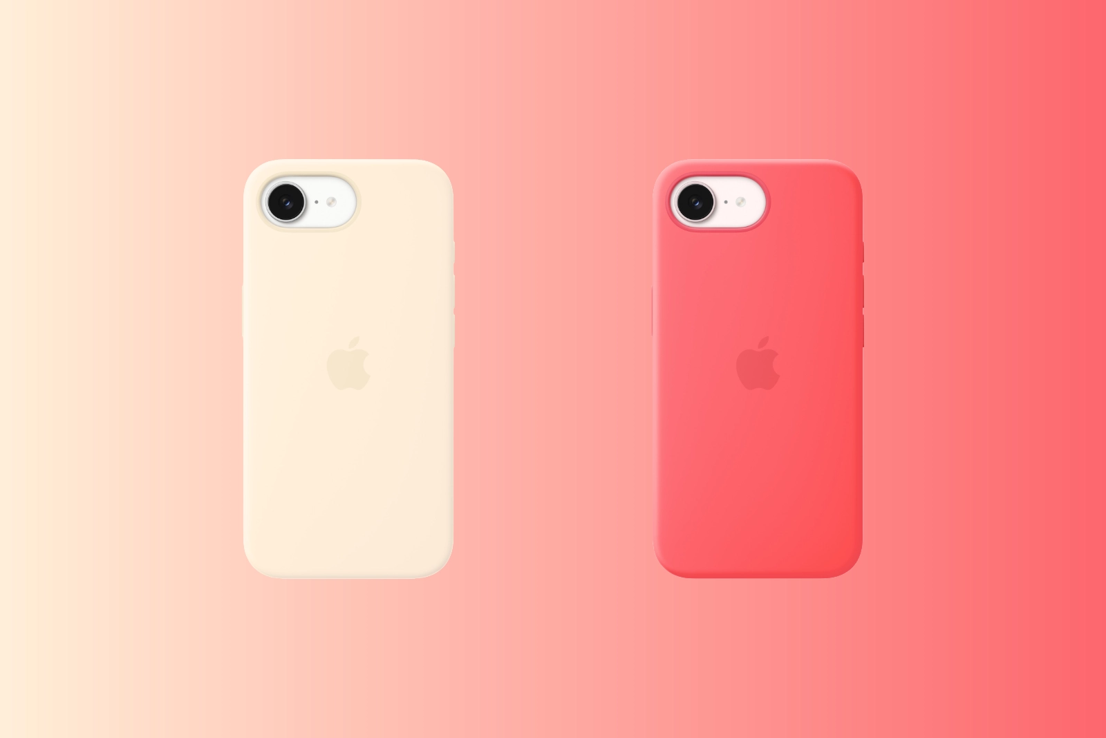 iPhone 17 cases