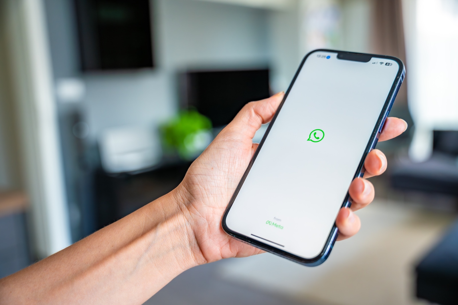 WhatsApp iOS
