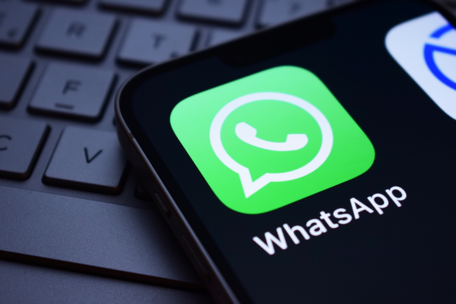 WhatsApp guest chats
