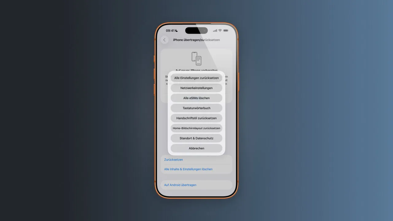Reset iPhone: selection menu showing seven options from All Settings to Location and Privacy